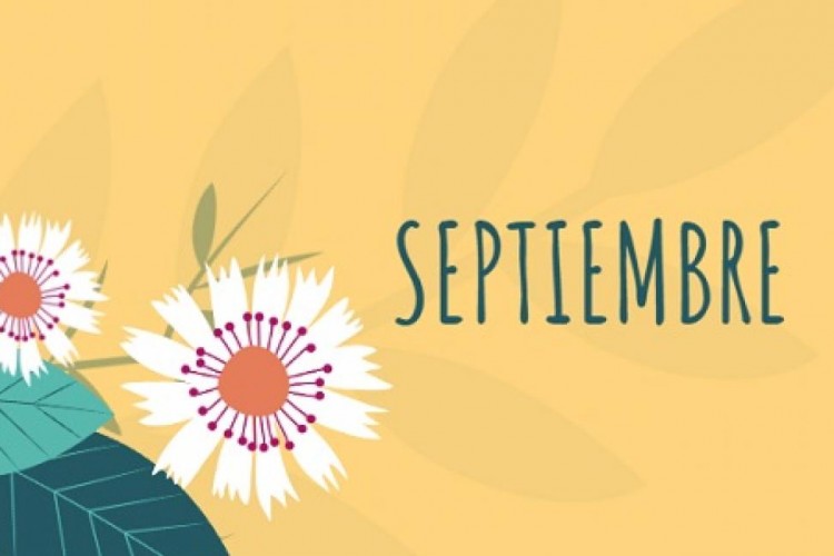 Septiembre un mes noticioso para la inversioón | Inmobisur - Propiedades en Puerto Montt, Propiedades Agencia Habitacional, Puerto Montt, Chile