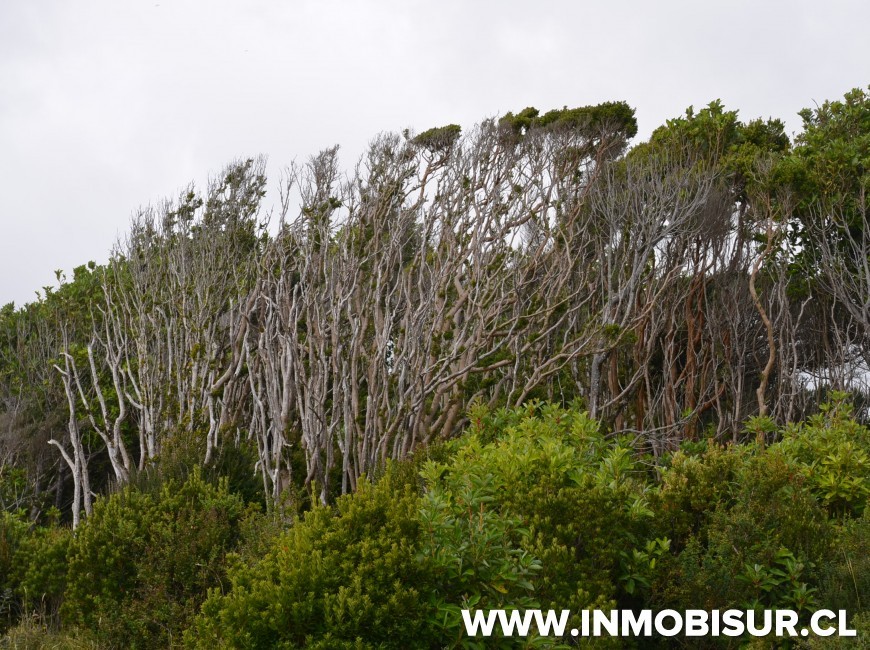 Venta en Chonchi | Campo con inigualable vista al mar en sector Muelle de Las Almas