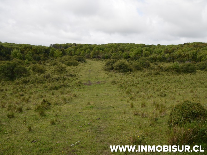 Venta en Chonchi | Campo con inigualable vista al mar en sector Muelle de Las Almas