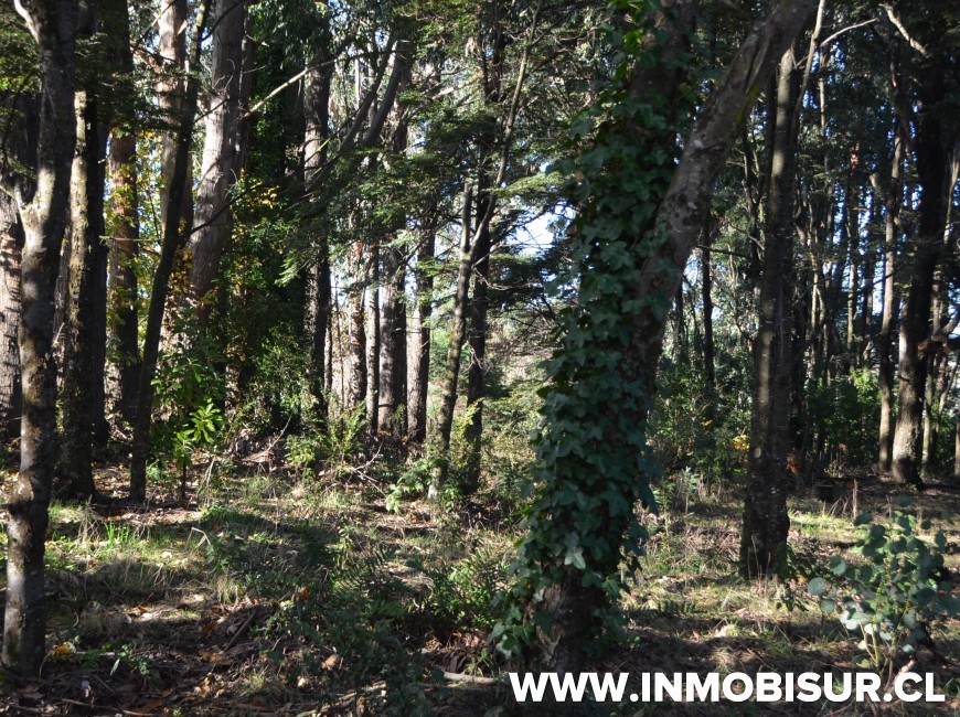 Venta en Puerto Montt | Sitio Urbano en La Vara