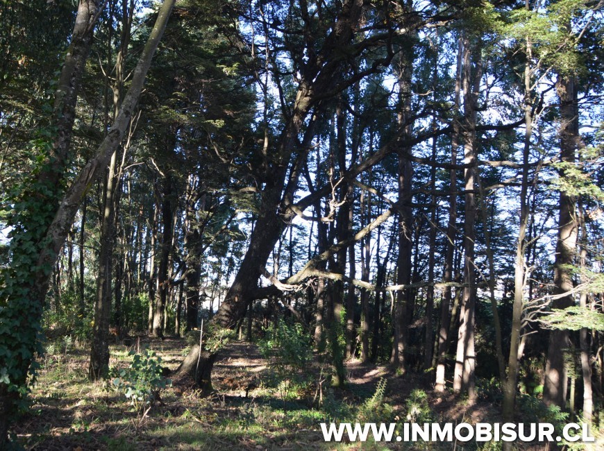 Venta en Puerto Montt | Terreno Urbano en La Vara