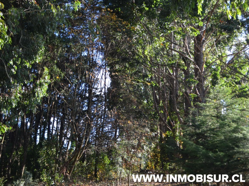 Venta en Puerto Montt | Terreno Urbano en La Vara