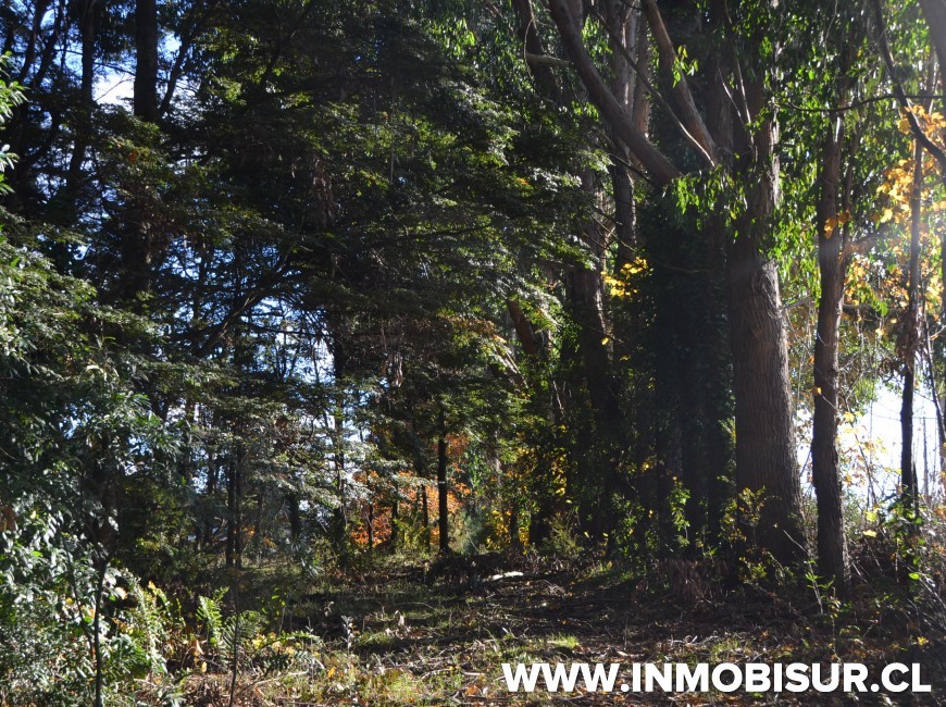 Venta en Puerto Montt | Terreno Urbano en La Vara