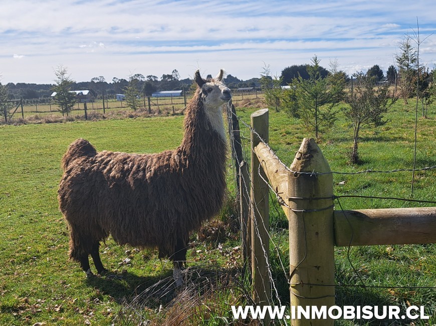 Venta en Puerto Varas | Venta propiedad turística a orillas del río Maullin