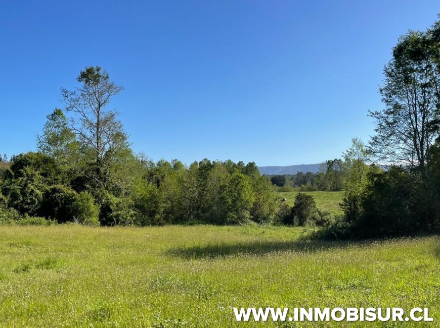 Venta en Fresia | Loteo de 50 parcelas terminadas para venta