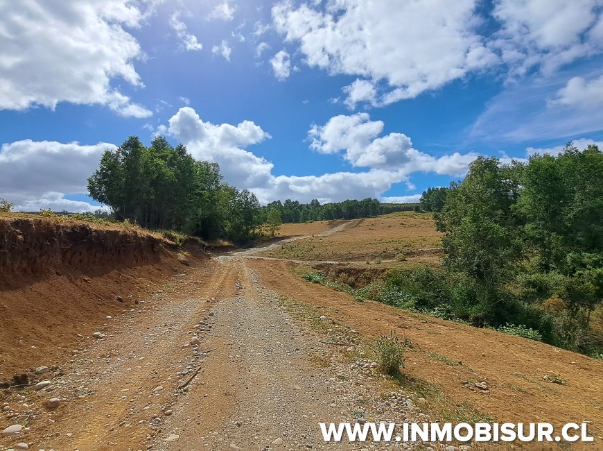 Venta en Fresia | Loteo de 50 parcelas terminadas para venta