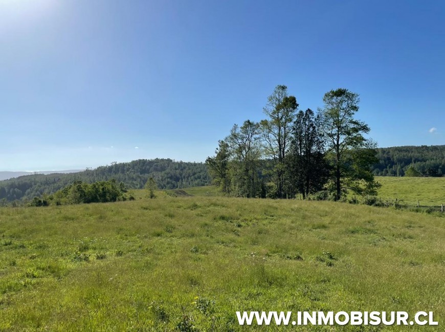 Venta en Fresia | Loteo de 50 parcelas terminadas para venta