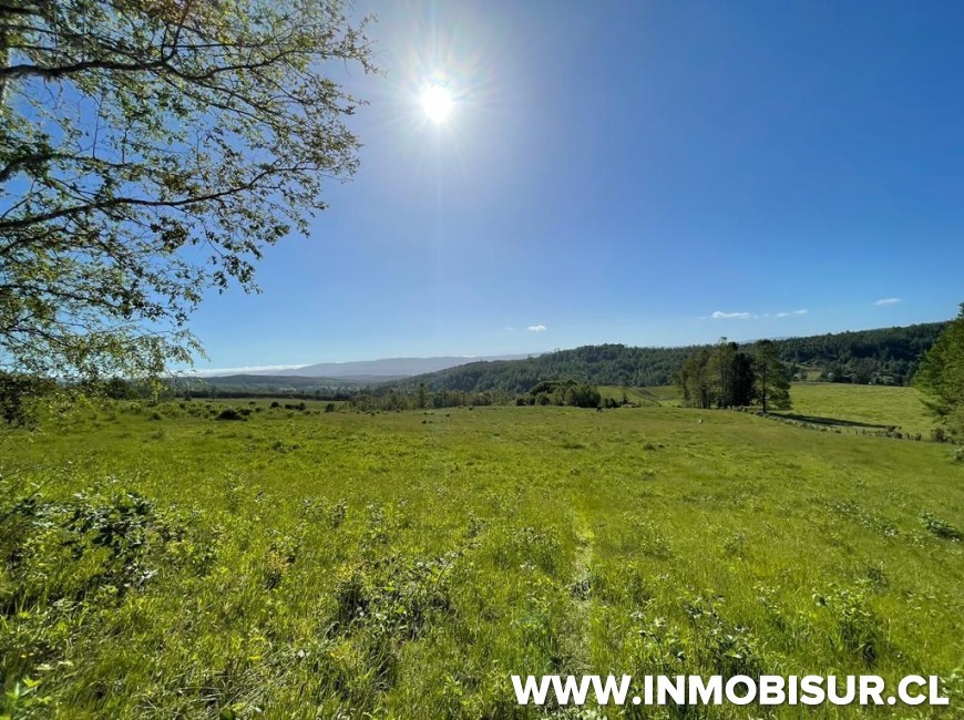 Venta en Fresia | Loteo de 50 parcelas terminadas para venta