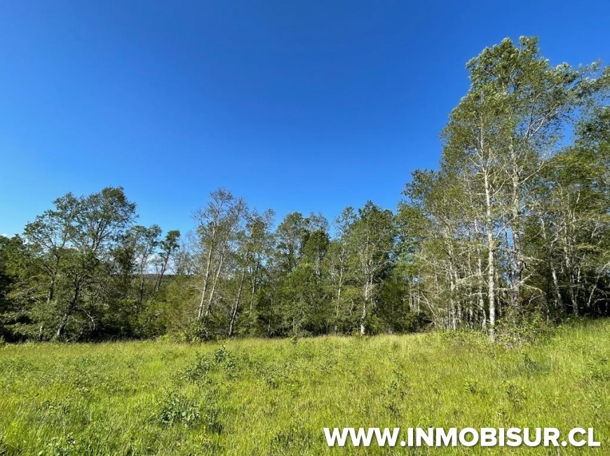 Venta en Fresia | Loteo de 50 parcelas terminadas para venta