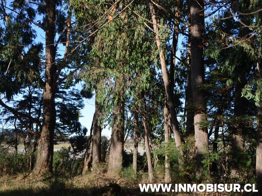 Venta en Puerto Montt | Sitio Urbano en La Vara