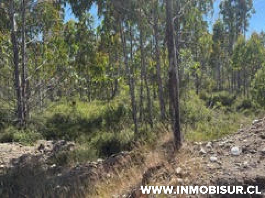 Venta en Puerto Montt | Gran terreno e metros de la Ruta 5 Sur