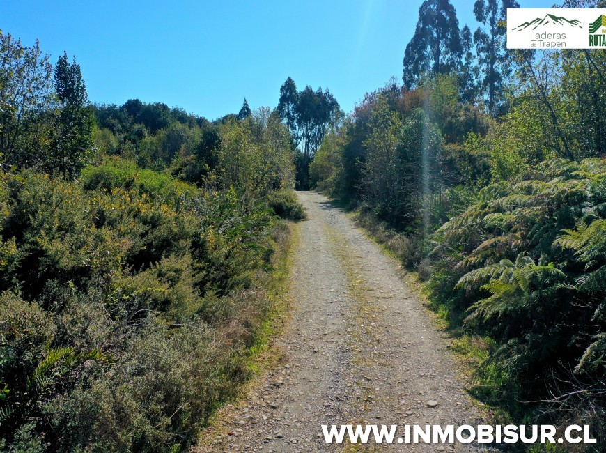 Venta en Puerto Montt | Parcela de 1,3 Há en Parcelación Laderas de Trapén