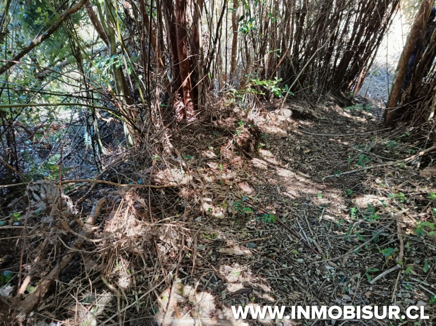 Venta en Puerto Montt | Amplio terreno en sector Correntoso