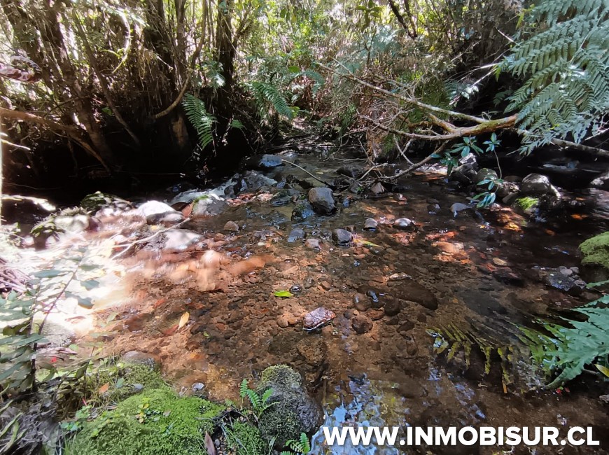 Venta en Puerto Montt | Amplio terreno en sector Correntoso