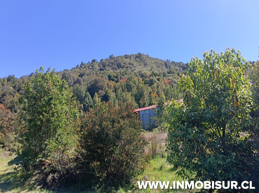 Venta en Puerto Montt | Amplio terreno en sector Correntoso