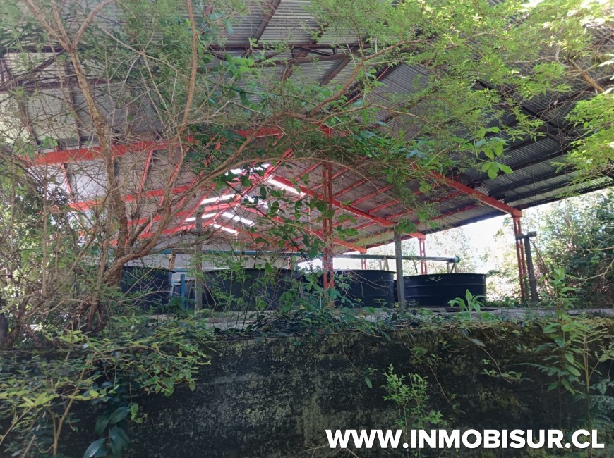 Venta en Puerto Montt | Amplio terreno en sector Correntoso