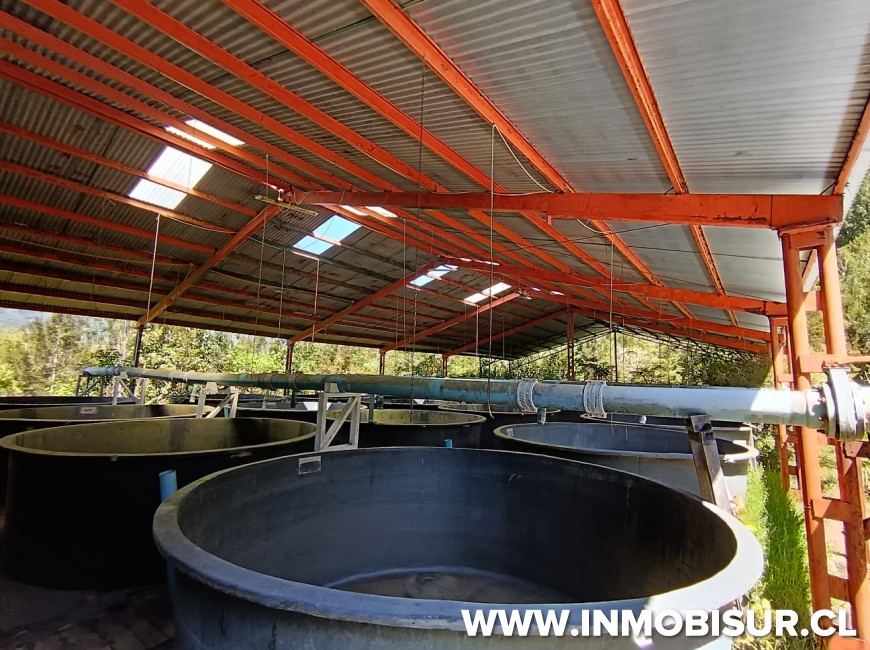 Venta en Puerto Montt | Amplio terreno en sector Correntoso