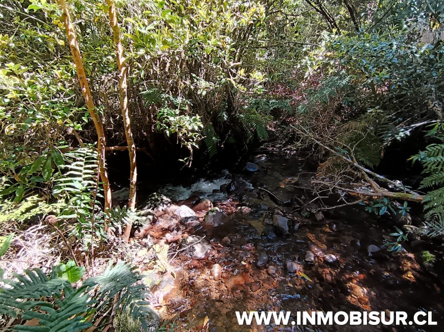 Venta en Puerto Montt | Amplio terreno en sector Correntoso