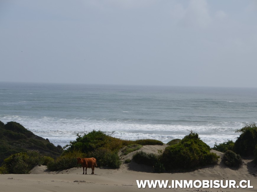 Venta en Chonchi | Campo con inigualable vista al mar en sector Muelle de Las Almas