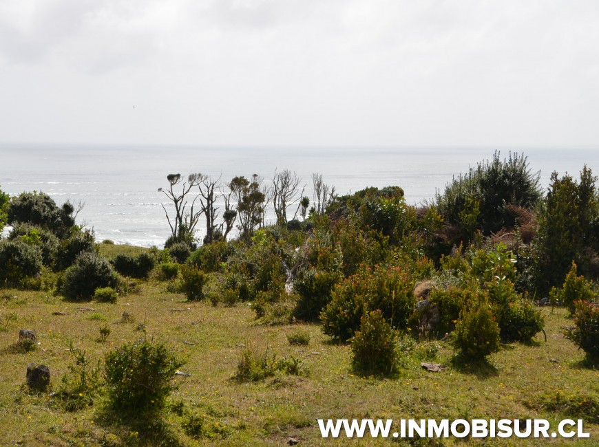Venta en Chonchi | Campo con inigualable vista al mar en sector Muelle de Las Almas