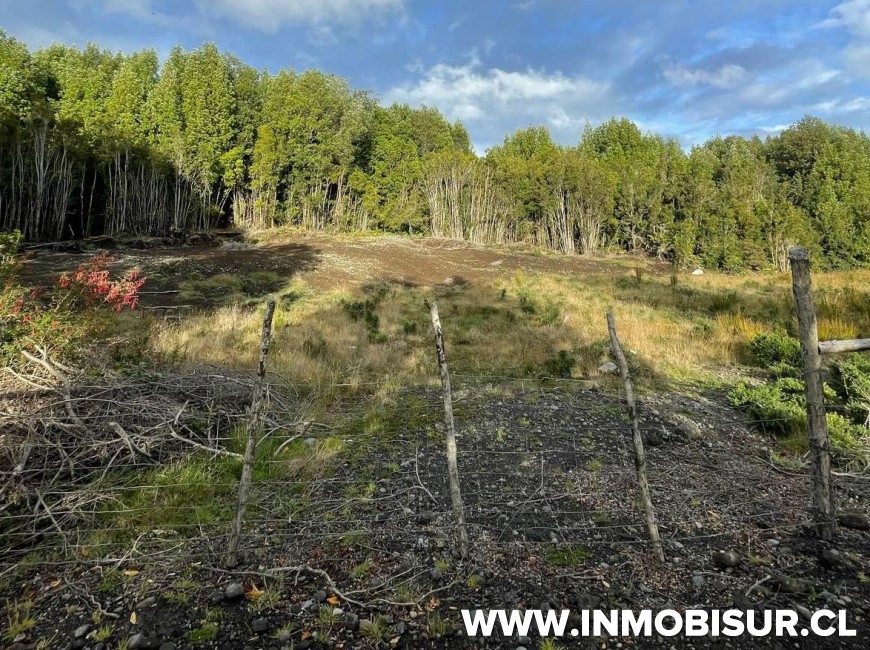 Venta en Queilén | Campo en comuna de Queilen