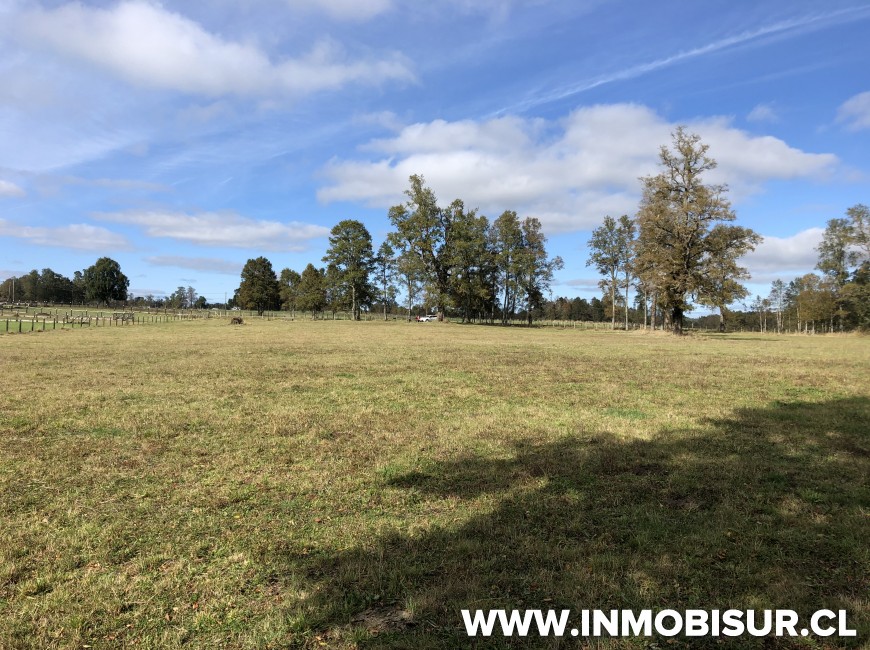 Venta en Puerto Varas | Campo de 3 ha en río Frío a 40 km de Puerto Varas