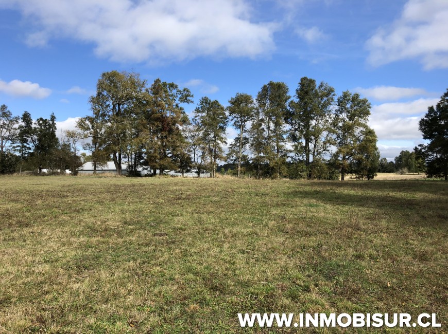 Venta en Puerto Varas | Campo de 3 ha en río Frío a 40 km de Puerto Varas