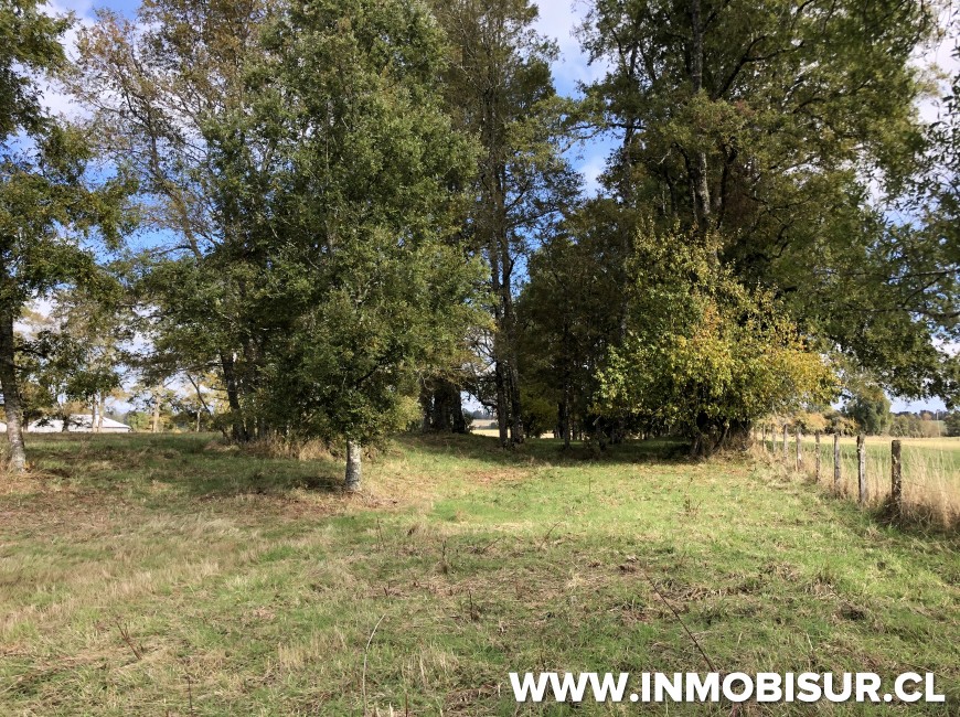 Venta en Puerto Varas | Campo de 3 ha en río Frío a 40 km de Puerto Varas