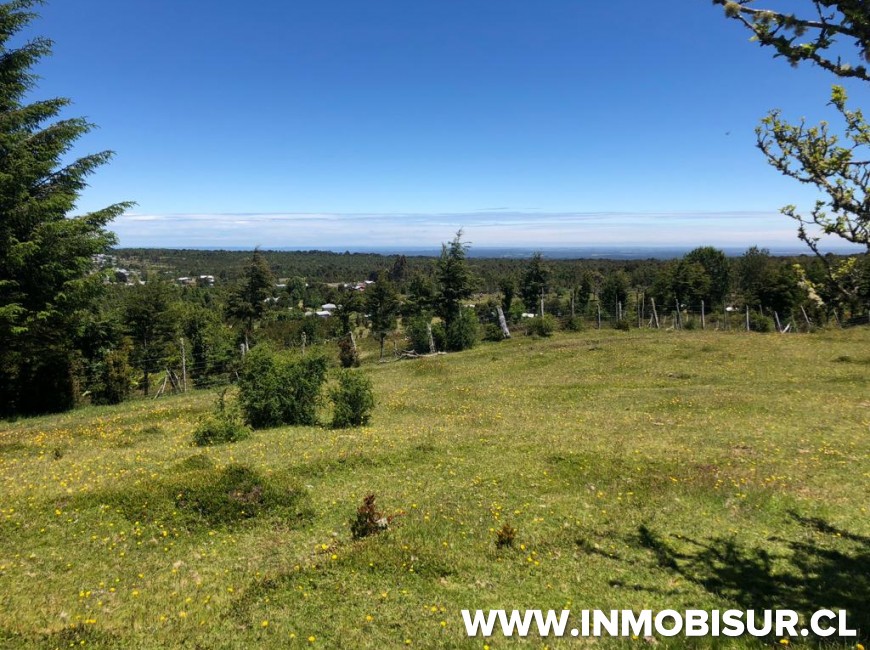 Venta en Puerto Varas | Campo en venta en sector de Colonia Río Sur