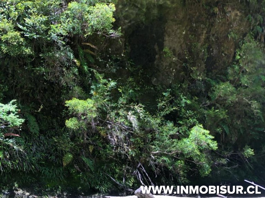 Venta en Puerto Varas | Campo en venta en sector de Colonia Río Sur