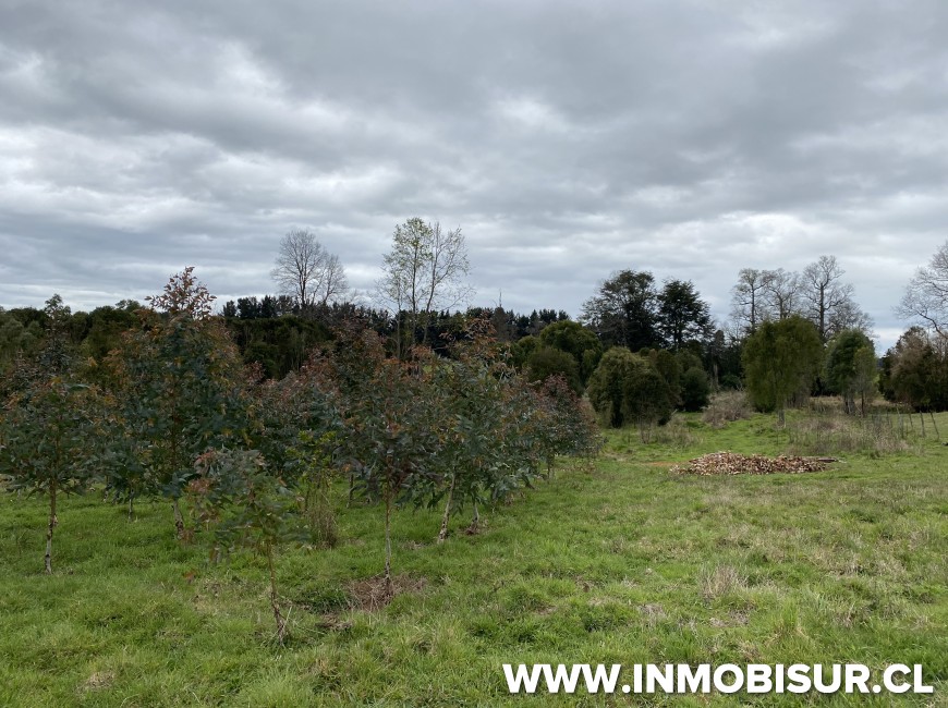 Venta en Fresia | Casa en parcela a la venta en Fresia