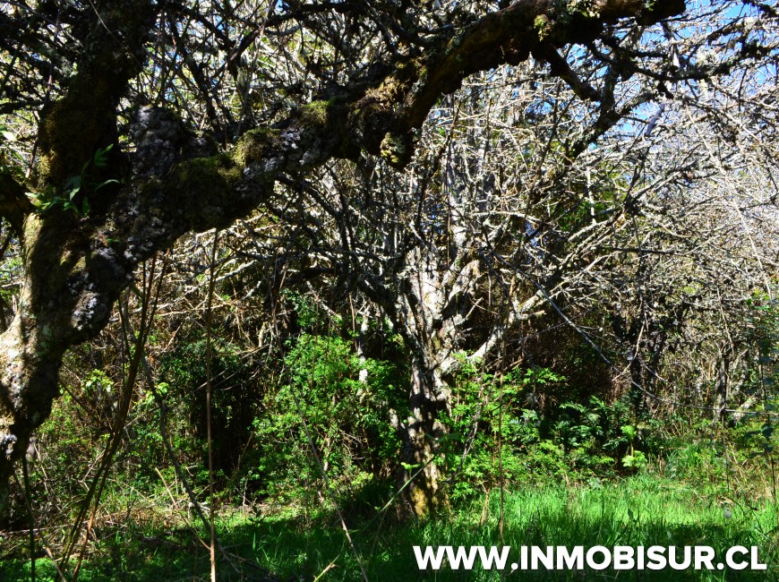 Venta en Hualaihué | En venta hermosa y exclusiva isla de 23,5 Ha en Hornopiren