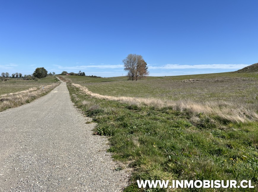 Venta en Llanquihue | En venta hermosas parcelas en Fundo Llanquihue