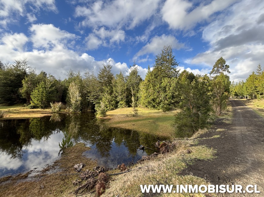 Venta en Puerto Montt | Espectacular loteo en Lago Chapo con Río y Financiamiento Directo.