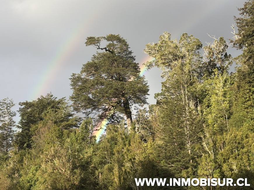 Venta en Puerto Montt | Espectacular loteo en Lago Chapo con Río y Financiamiento Directo.