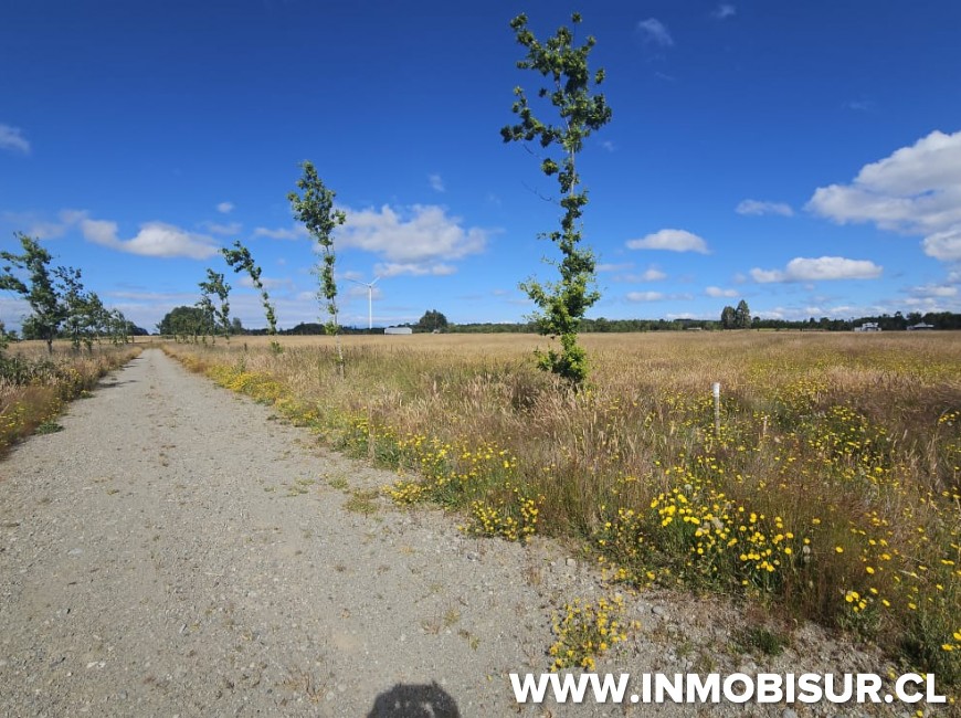 Venta en Frutillar | Espectacular parcela a la venta en Cumbres de Frutillar