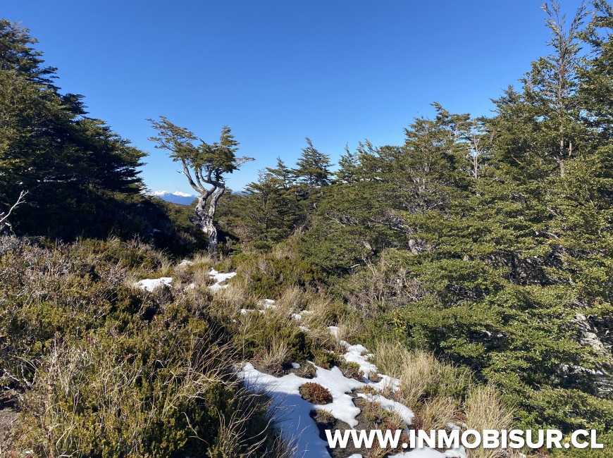 Venta en Puerto Varas | Espectacular sitio a la venta en Volcán Osorno, Teski