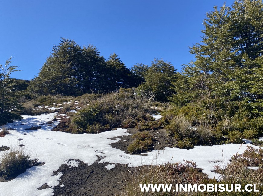 Venta en Puerto Varas | Espectacular sitio a la venta en Volcán Osorno, Teski