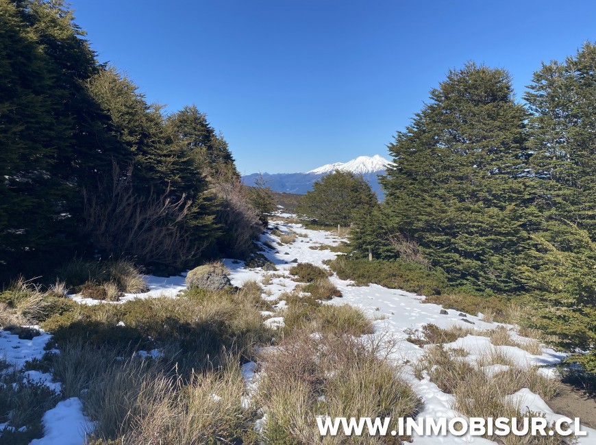 Venta en Puerto Varas | Espectacular sitio a la venta en Volcán Osorno, Teski