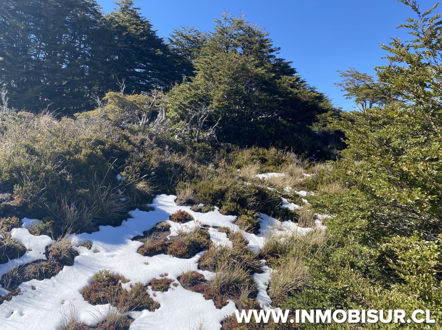 Venta en Puerto Varas | Espectacular sitio a la venta en Volcán Osorno, Teski