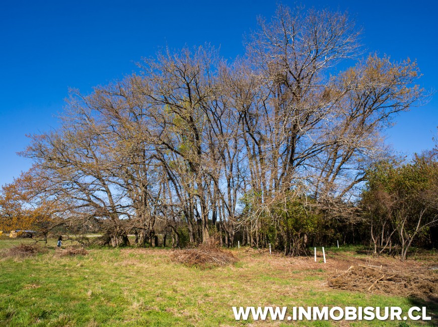 Venta en Puerto Varas | Espectaculares parcelas Campos Las Lomas