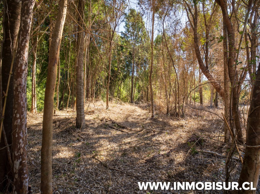 Venta en Puerto Varas | Espectaculares parcelas Campos Las Lomas