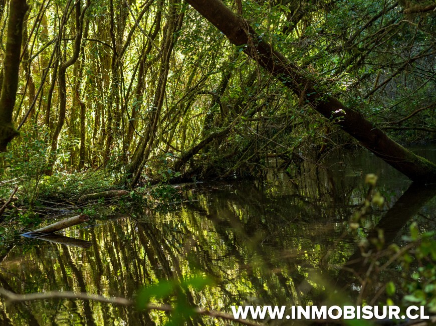 Venta en Puerto Varas | Espectaculares parcelas Campos Las Lomas