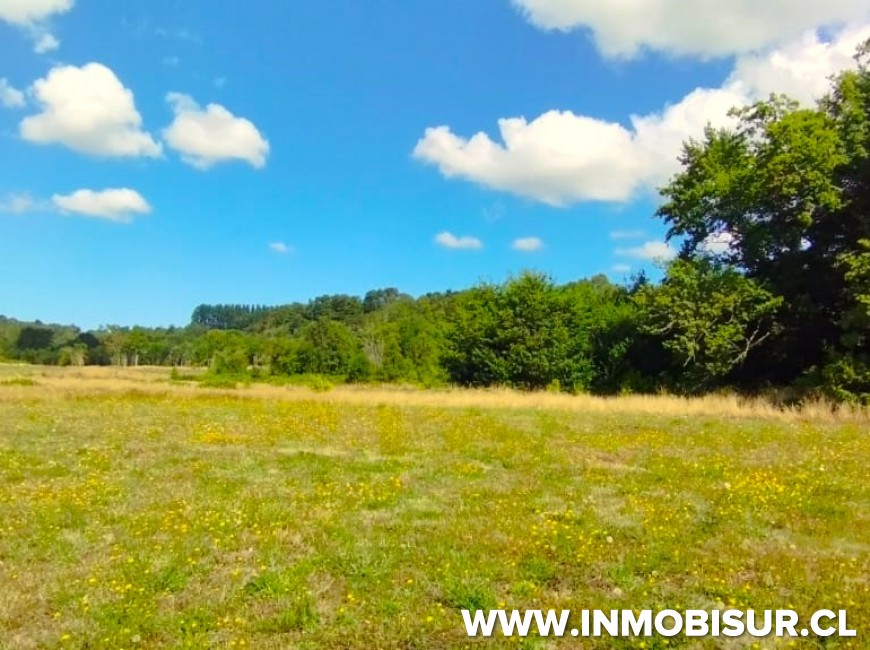 Venta en Puerto Varas | Espectaculares parcelas Campos Las Lomas