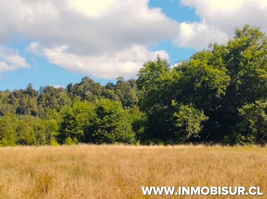 Venta en Puerto Varas | Espectaculares parcelas Campos Las Lomas