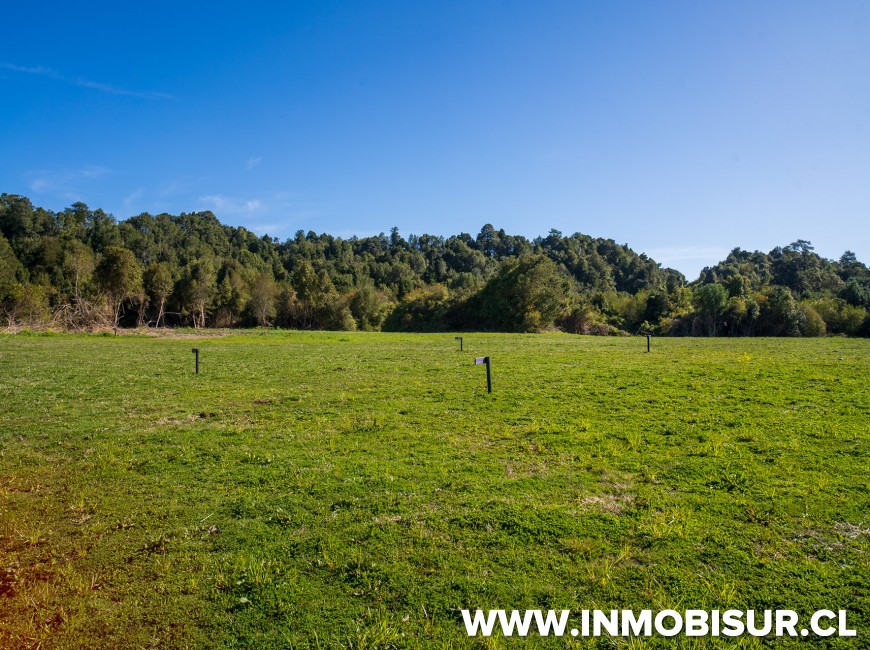 Venta en Puerto Varas | Espectaculares parcelas Campos Las Lomas