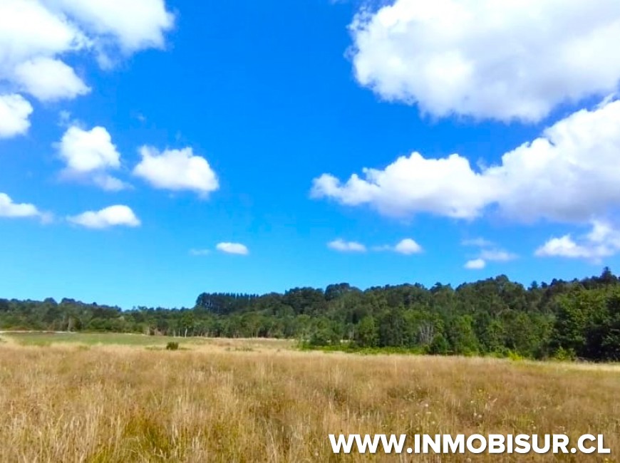 Venta en Puerto Varas | Espectaculares parcelas Campos Las Lomas