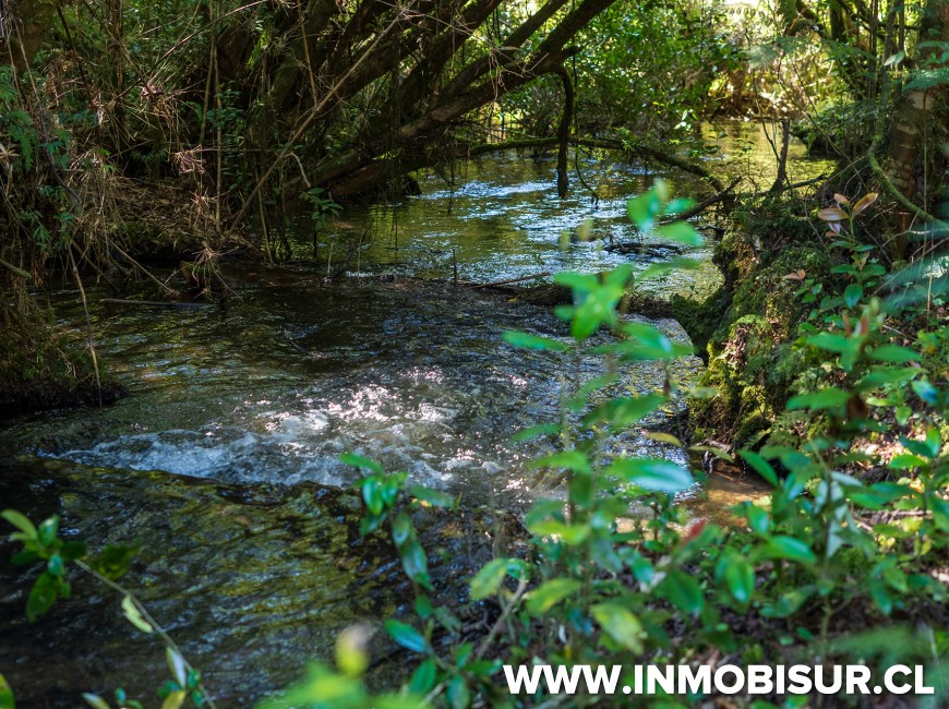 Venta en Puerto Varas | Espectaculares parcelas Campos Las Lomas