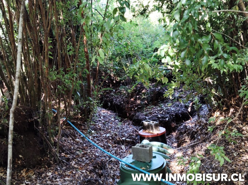 Venta en Puerto Montt | Hermosa parcela con cabaña en Correntoso.