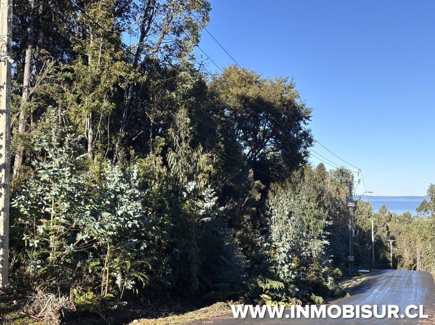 Venta en Puerto Montt | Hermosa parcela en Loteo Campomar, Carretera Austral.